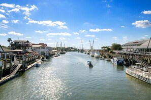 Marina - Newly Renovated - Walk to Shem Creek Restaurants! (Mount Pleasant)