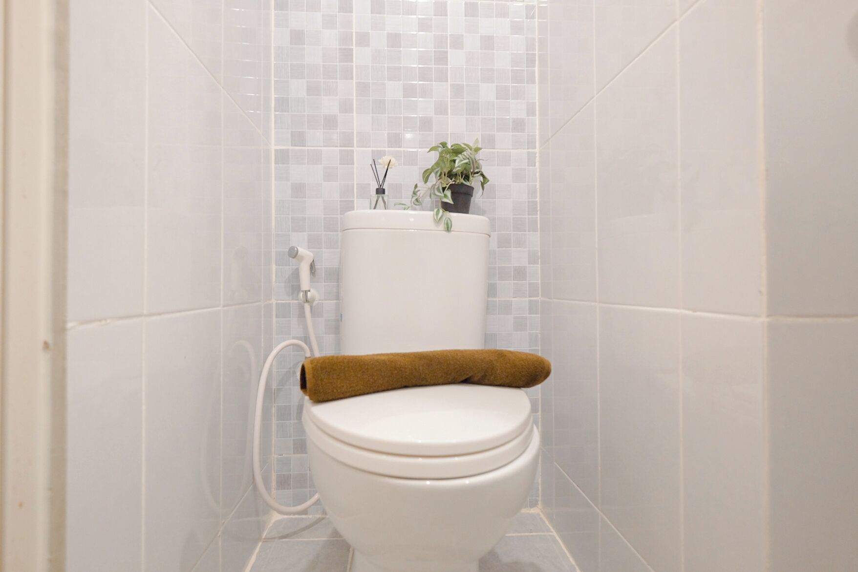 A bathroom with a white toilet, a brown towel, and a potted plant on the back of the toilet tank.