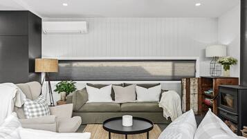 TV, fireplace, books