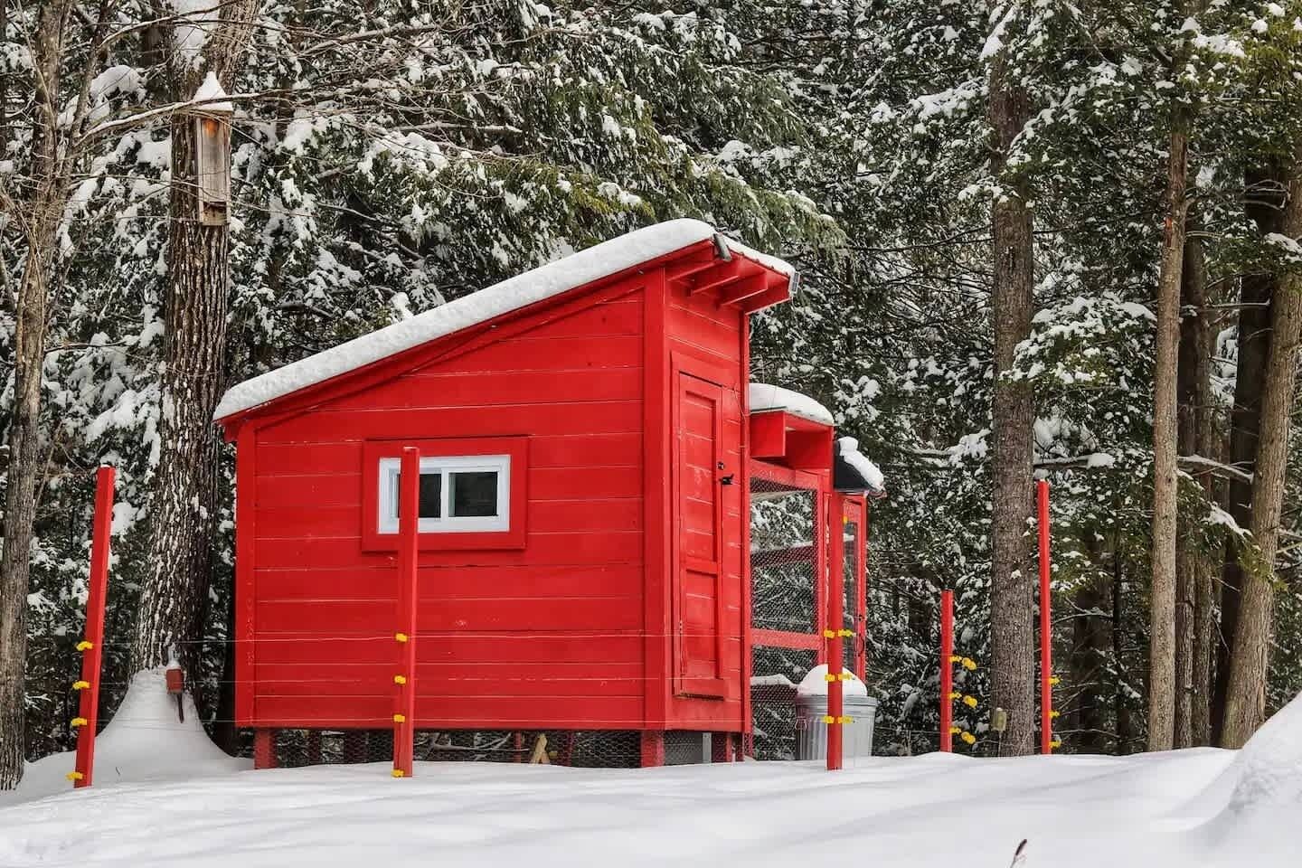 A red cabin with a window and a door, surrounded by snow-covered trees.