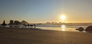Playa