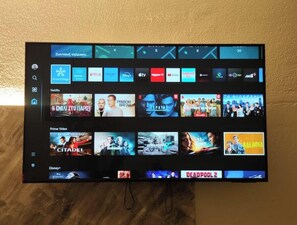 Television
