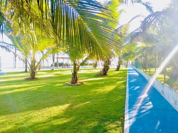 Terrein van de accommodatie