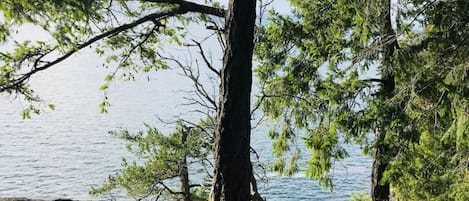 Baignoire à remous extérieure