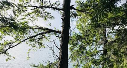 Sensational Sunrise Suite