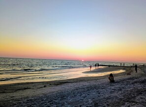 Chaises longues, serviettes de plage