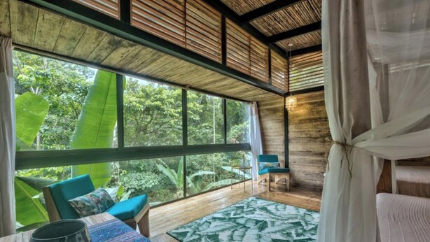 A room with large windows, wooden ceiling, and a view of lush greenery. - Deluxe Twin Room (Cahuita)