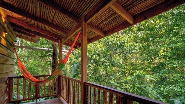 A wooden deck with a hammock, surrounded by lush greenery. - Superior Bungalow (Cahuita)