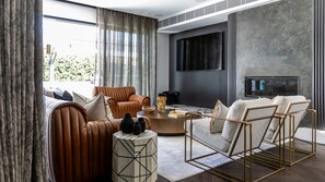 TV connectée, cheminée, livres, chaîne hi-fi