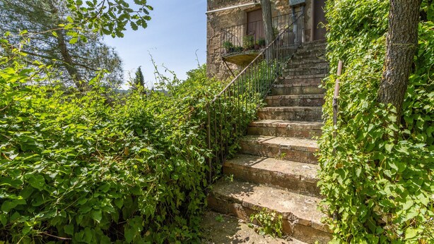 Una escalera de piedra que sube hacia un edificio con barandilla de metal, rodeada de exuberante vegetación.