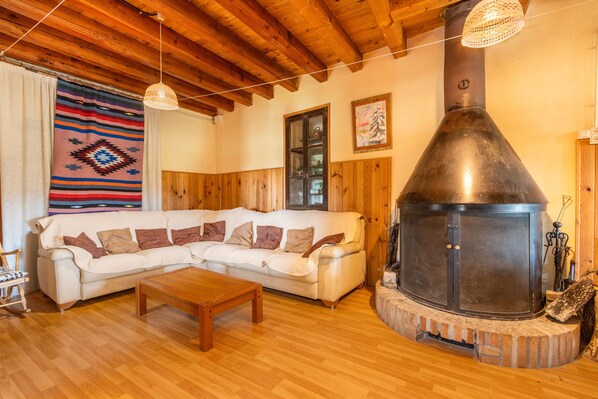 TV, fireplace, DVD player, ping pong