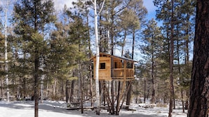 A wooden treehouse elevated among tall pine trees in a snowy forest.