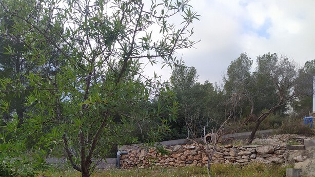 Eine Steinsäule, ein Holzweg und ein Baum.