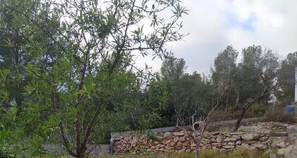 Holiday Home 'La Caseta D'Amparo' with Mountain Views, Private Terrace & Wi-Fi