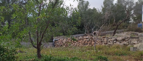 Terrain de lâhĂ©bergement