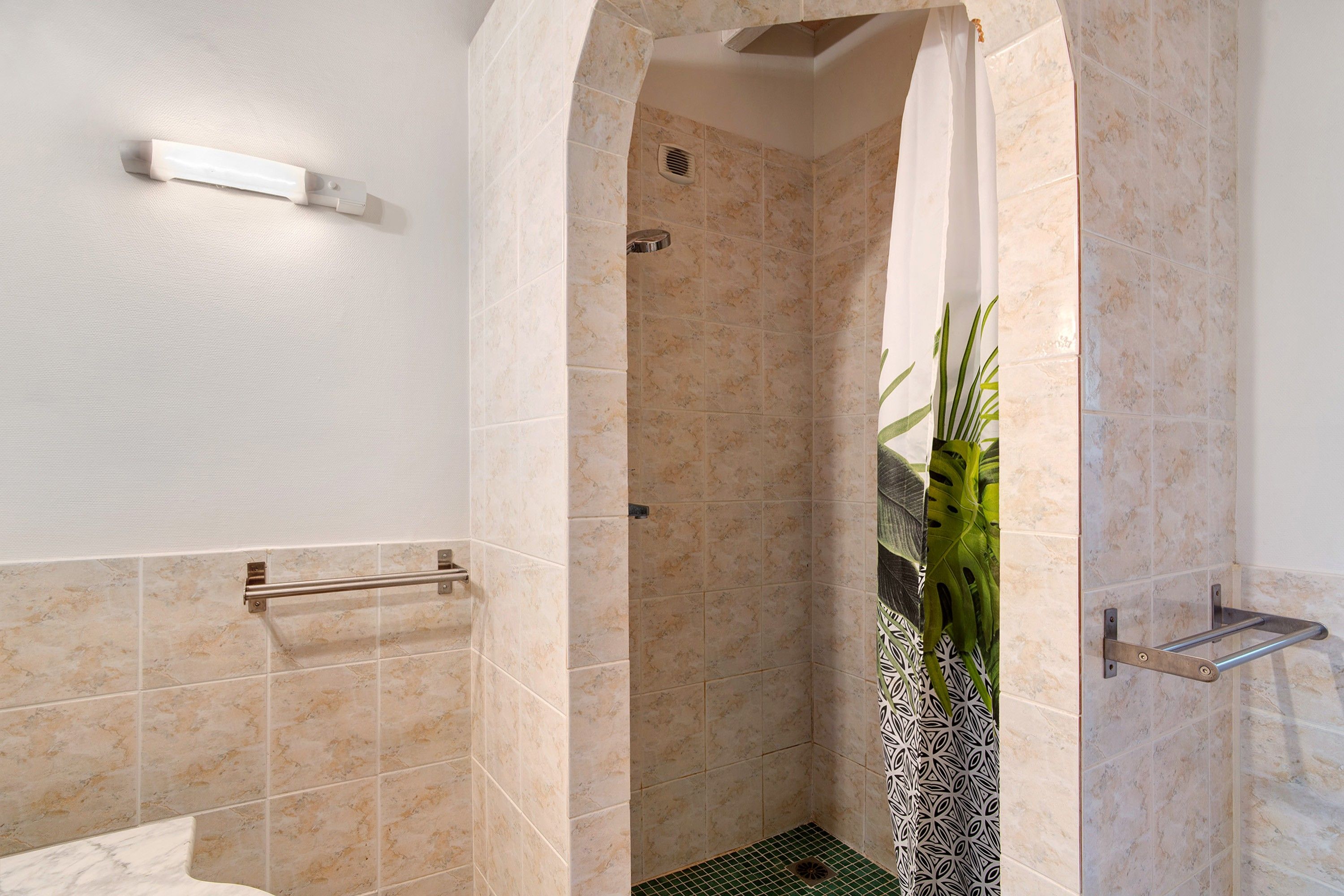 A bathroom with a shower stall, a handrail, and a potted plant.