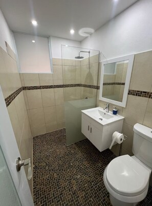 Shower, hair dryer, bidet, towels - Charming 2-bedroom house 2.5 bathroom in awesome Manatí with AC, private pool  (Manatí)