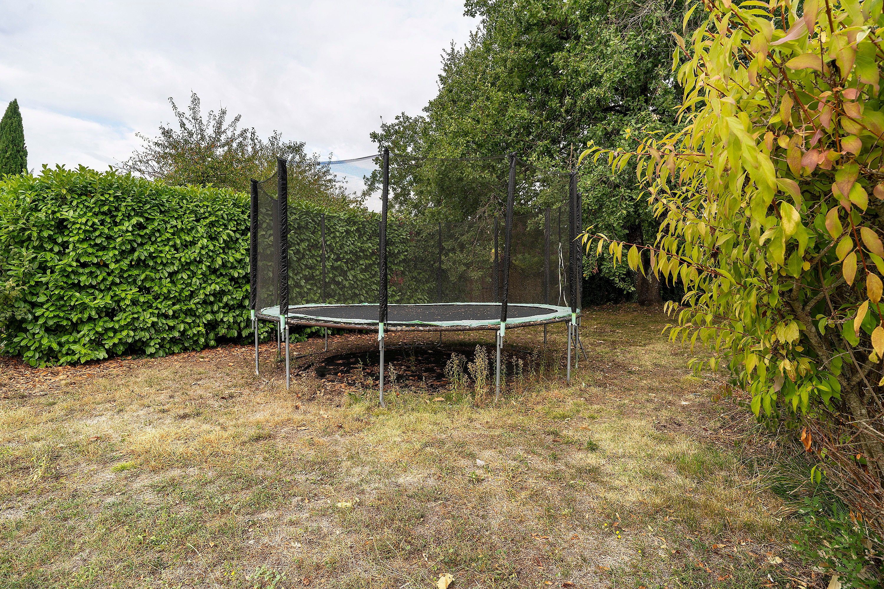 A trampoline in a yard surrounded by dense foliage and a hedge.
