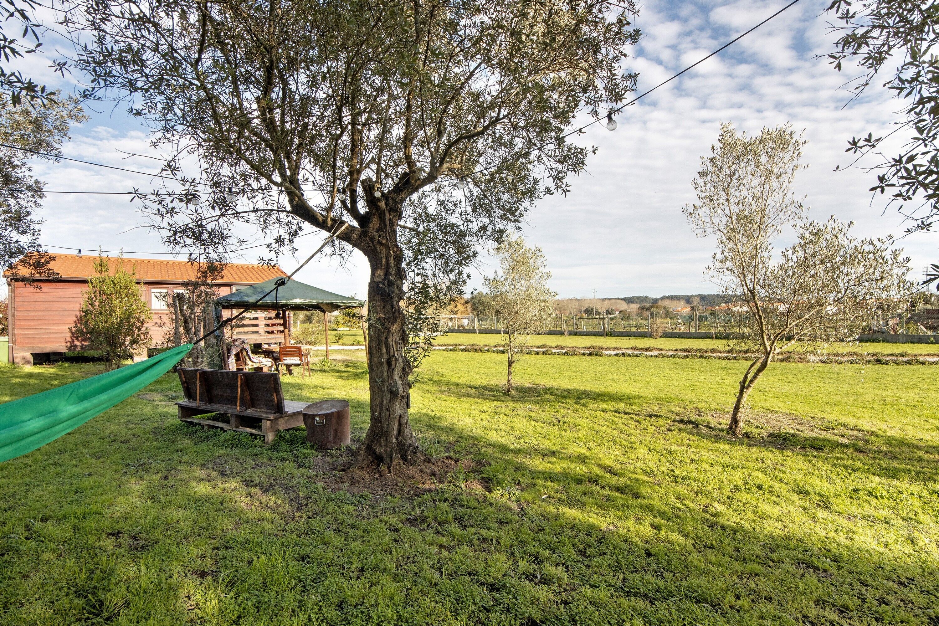 Un espacio al aire libre con césped, una hamaca, un banco de madera y un árbol.
