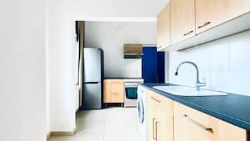 Fridge, oven, stovetop, cookware/dishes/utensils