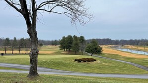 Un campo de golf con un estanque, un sendero para caminar y un árbol grande al frente.