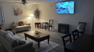 Smart TV, fireplace, books