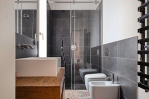 Shower, hair dryer, bidet, towels