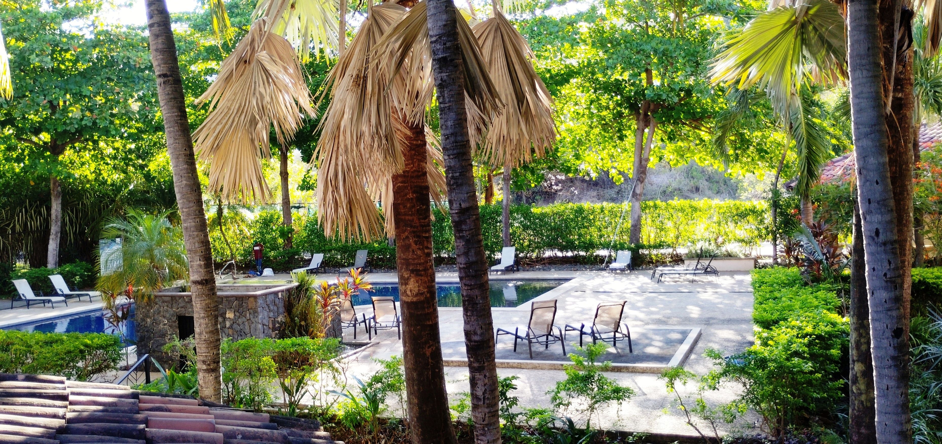 A pool area with lounge chairs, a stone structure, and tropical vegetation.