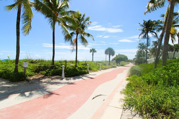 A paved pathway with red and white stripes, flanked by palm trees and greenery, leading towards a beach.