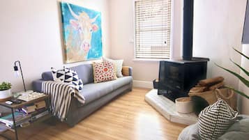 Smart TV, chimenea y libros
