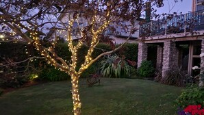A garden with a tree adorned with string lights, a stone structure, and various plants. - CENTRAL RETREAT Spa Bath, short walk to 
Lake/town center, Sunsets & some views. (Taupō)
