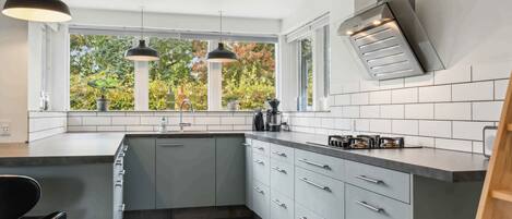 Fridge, oven, stovetop, dishwasher