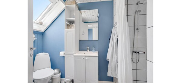 Une salle de bain avec des toilettes, un lavabo et une douche.
