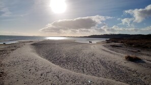 Ein Strand mit Kieselsteinen, einem Hund und einem Gewässer unter einem bewölkten Himmel.