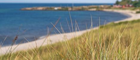 Un paysage côtier avec de l’herbe au premier plan et une plage en arrière-plan.