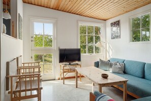 A modern living room with a television, wooden furniture, and large windows. - Classic summer cottage by a fantastic beach (Aakirkeby)