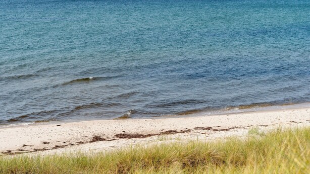 Ein Strand mit sandigem Ufer und einer grasbewachsenen Vordergrundfläche.