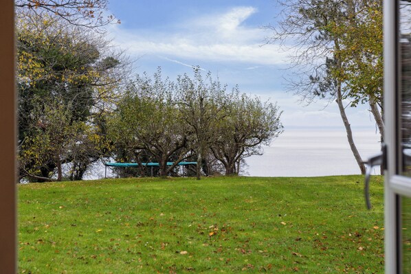 A grassy area with trees and a view of the water.