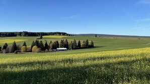 A rural landscape with a field of yellow flowers, a row of trees, and a distant hill. - Tarborstrasse by Interhome (Dittishausen)