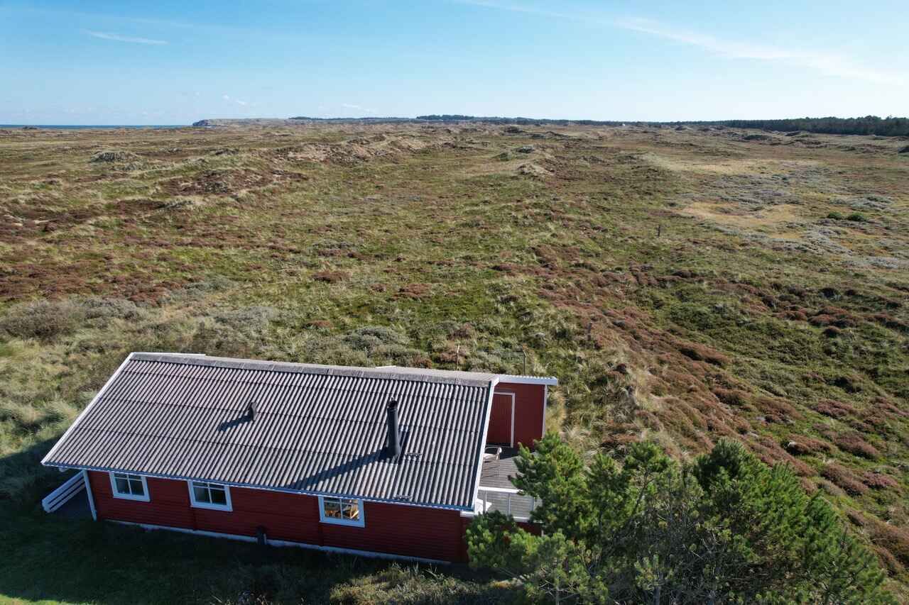 Eksteriør