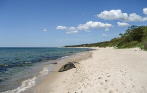 Ein sandiger Strand mit klarem, blauem Wasser, einigen Felsen und spärlicher Vegetation am Ufer.