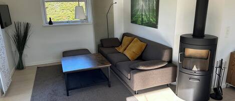 Télévision, cheminée, chaîne hi-fi