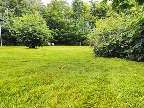 Un espace extérieur verdoyant, avec des arbres et un poteau de but.
