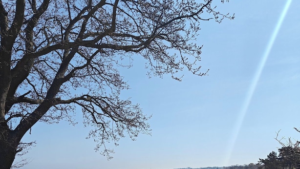 Un sendero costero que lleva a una playa con afloramientos rocosos y cielo despejado.