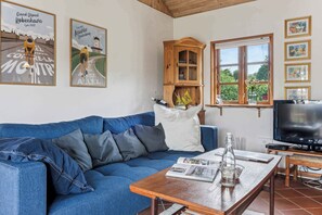 Een open haard en een dvd-speler