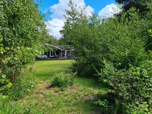 Ett hus med en uteplats, omgivet av tät grönska.