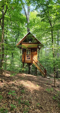 Exterior. Timber-frame treehouse along the Ocmulgee River; short drive from I-75