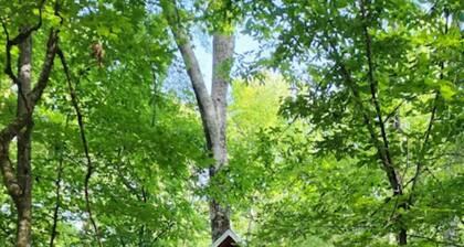 Timber-frame treehouse along the Ocmulgee River; short drive from I-75