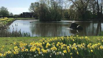 Terrein van de accommodatie