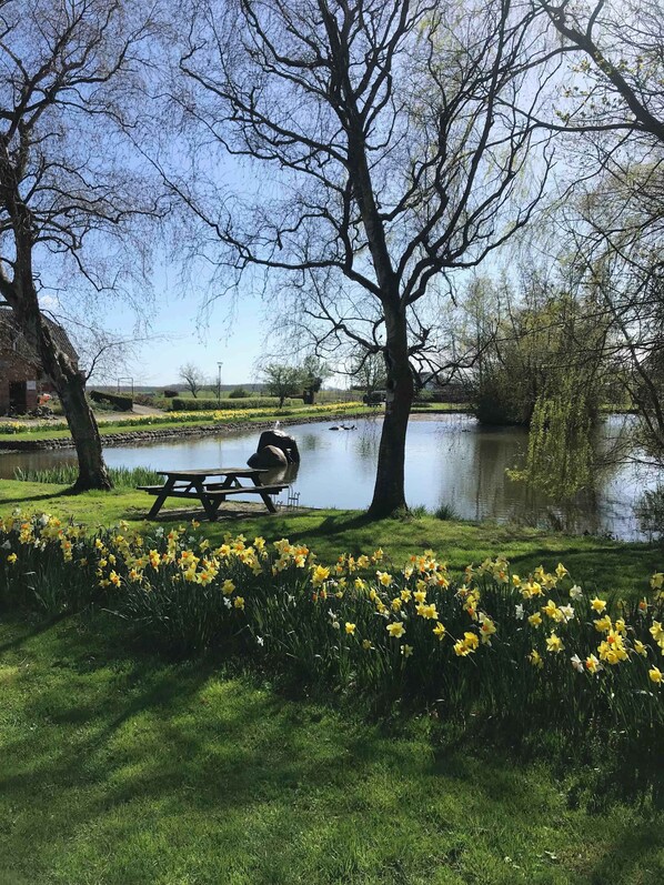 Outdoor dining - Lovely holiday home on Lolland (Errindlev)